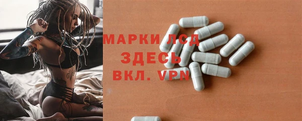 PSILOCYBIN Алзамай