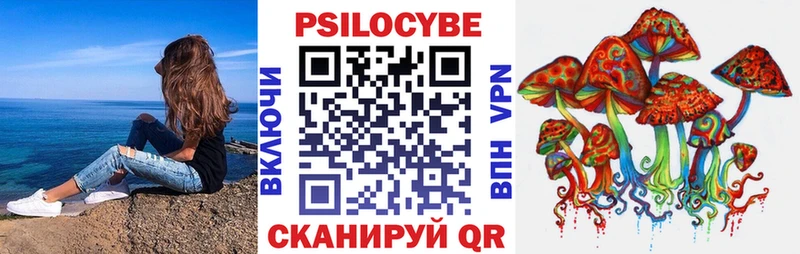 магазин  наркотиков  Ачхой-Мартан  Псилоцибиновые грибы ЛСД 