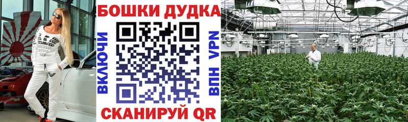 где продают наркотики  Ачхой-Мартан  МАРИХУАНА сатива 